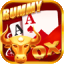 rummy loot 41 bonus